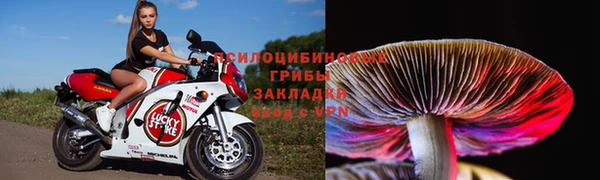 спиды Абинск