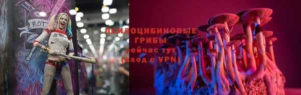 спиды Абаза