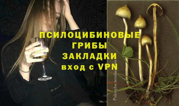 шишки Абдулино