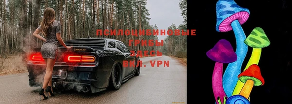 шишки Абдулино