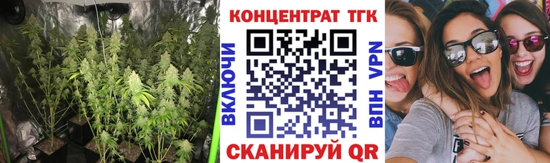 купить   Хабаровск  Дистиллят ТГК гашишное масло 