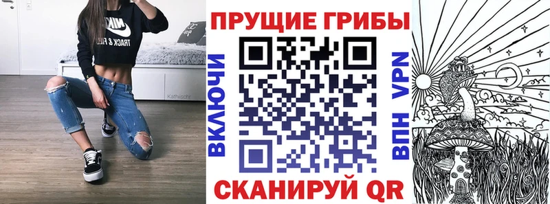Псилоцибиновые грибы GOLDEN TEACHER  Хабаровск 